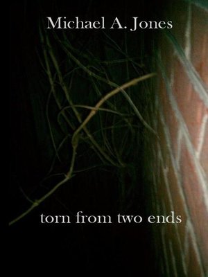 cover image of Torn from Two Ends